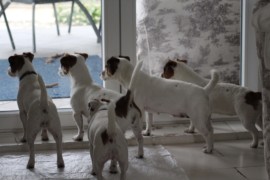IMG 3863